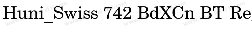 Huni_Swiss 742 BdXCn BT Regular字体转换